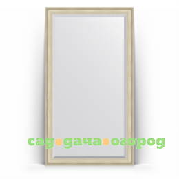 Фото Зеркало в багетной раме Evoform травленое серебро 113x203 см