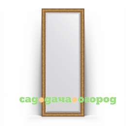 Фото Зеркало в багетной раме Evoform медный эльдорадо 79x198 см