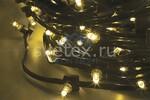 фото Clip Light LED-LP-100-150 325-121