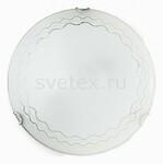 фото Citte TL9131Y-01WH