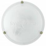 фото Salome 7901