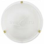 фото Salome 7185