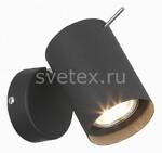 фото Fanale SL597.401.01