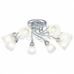 фото Stasya FR5684CL-08CH