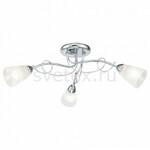 фото Stasya FR5684CL-03CH