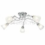 фото Stasya FR5684CL-05CH