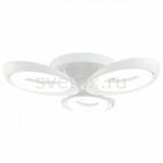 фото Elena FR6007CL-L51W