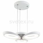 фото Elena FR6007PL-L51W