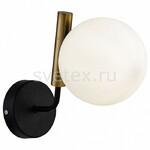 фото Paolina FR5011WL-01B