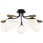 фото Paolina FR5011CL-05B