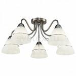 фото Berta FR2013CL-05N