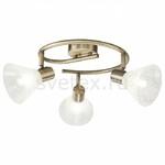 фото Paola FR7001CL-03BZ