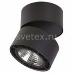 фото Forte Muro LED 213837