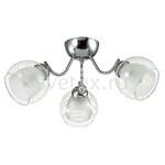 фото Brinna 3071/3C