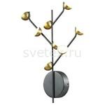 фото Verica 4156/24WL
