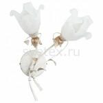 фото Estera New 17072