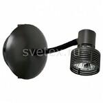 фото Arina LSP-9821
