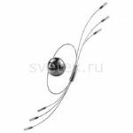 фото Ovale 784664