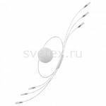 фото Ovale 784666