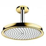 фото Верхний душ Hansgrohe Raindance Classic 27405090