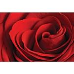 фото Фотообои виниловые на флизелиновой основе Decocode Алая роза 13-0291-FR 2,5х1,3 м