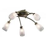 фото Люстра потолочная Odeon Light Lerta 1803/5C бронза G9 5х40W 220V