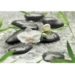 фото Фотообои бумажные Komar Pure 8-319 3,68х2,54 м