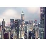фото Фотообои бумажные Komar Skyline 8-913 3,68х2,54 м