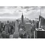 фото Фотообои бумажные Komar NYC Black And White 8-323 3,68х2,54 м