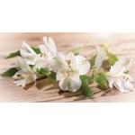 фото Фотообои виниловые на флизелиновой основе Decocode Обещание 13-0523-FE 2,5х1,3 м
