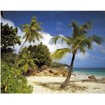 фото Фотообои бумажные Komar Praslin 8-885 3,68х2,54 м