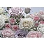 фото Фотообои бумажные Komar Floraison 8-736 3,68х2,54 м