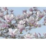 фото Фотообои бумажные Komar Magnolia 8-738 3,68х2,54 м