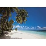 фото Фотообои бумажные Komar Maldives 8-240 3,88х2,70 м