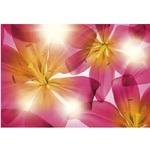 фото Фотообои бумажные Komar Summer Sun 8-928 3,68х2,54 м