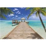 фото Фотообои бумажные Komar Beach Resort 8-921 3,68х2,54 м