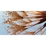 фото Фотообои виниловые на флизелиновой основе Decocode Безмятежность 13-0521-FY 2,5х1,3 м