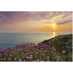 фото Фотообои бумажные Komar Land's End 8-901 3,68х2,54 м
