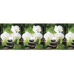 фото Фартук кухонный Требити Белые орхидеи пластиковый 2000х600х1,5 мм