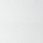 фото Плита потолочная Armstrong Plain Board 600х600х15 мм