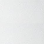 фото Плита потолочная Armstrong Plain Tegular 600х600х15 мм
