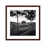 фото Картина Tea Estates (79х79 см)
