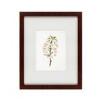 фото Картина Pear Tree Flowers (42х52 см)