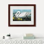фото Картина Common American Swan (42х52 см)