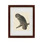 фото Картина Great Gray Owl (42х52 см)