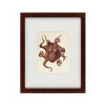 фото Картина Pacific Octopus (42х52 см)