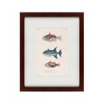 фото Картина Tropical Fish (42х52 см)