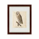 фото Картина One Owl (42х52 см)