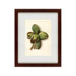 фото Картина Watercolor Collection, Drawing №1 (42х52 см)