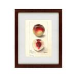 фото Картина Watercolor Collection, Drawing №4 (42х52 см)